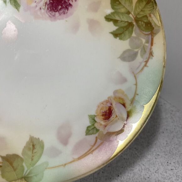 Vintage Royal Rudolstadt Cabinet Plate Prussian Porcelain Floral Hand Painted - Picture 3 of 7
